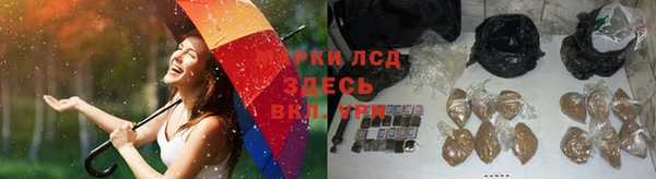 соль ск Арсеньев