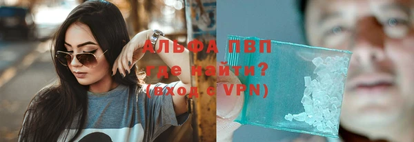 сатива Армянск