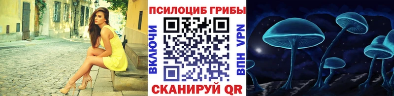 блэк спрут как войти  Малоярославец  Галлюциногенные грибы Cubensis 